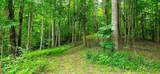 696 Dark Hollow Rd - Photo 57
