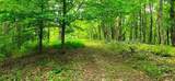 696 Dark Hollow Rd - Photo 58