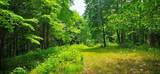 696 Dark Hollow Rd - Photo 59