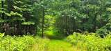 696 Dark Hollow Rd - Photo 60