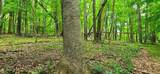 696 Dark Hollow Rd - Photo 61