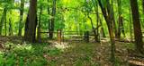 696 Dark Hollow Rd - Photo 63