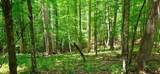 696 Dark Hollow Rd - Photo 65