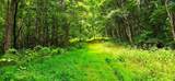 696 Dark Hollow Rd - Photo 68