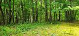 696 Dark Hollow Rd - Photo 69