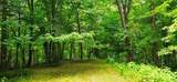 696 Dark Hollow Rd - Photo 70