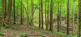696 Dark Hollow Rd - Photo 74