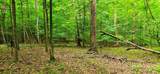 696 Dark Hollow Rd - Photo 75