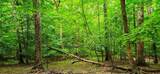 696 Dark Hollow Rd - Photo 76