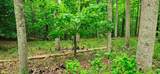 696 Dark Hollow Rd - Photo 78