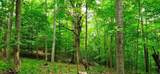 696 Dark Hollow Rd - Photo 79