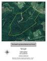 696 Dark Hollow Rd - Photo 88