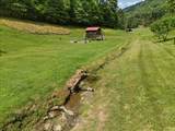 139 Buckhorn Mountain Rd. - Photo 60