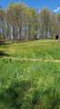1745 Muddy Creek Mountain Road - Photo 45