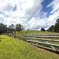 1032 Jerico Rd - Photo 43