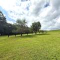 1032 Jerico Rd - Photo 45