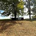 1032 Jerico Rd - Photo 59