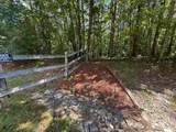  Muddy Creek Mountain Rd - Photo 13