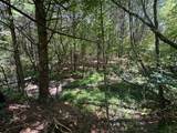  Muddy Creek Mountain Rd - Photo 14