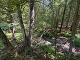  Muddy Creek Mountain Rd - Photo 15