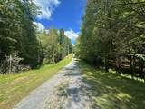  Muddy Creek Mountain Rd - Photo 16
