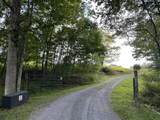 380 Rehm's Mtn Rd. - Photo 36