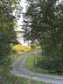 380 Rehm's Mtn Rd. - Photo 5