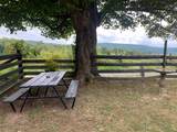 209 Holiness Church Rd - Photo 25