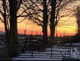 209 Holiness Church Rd - Photo 30