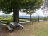 209 Holiness Church Rd - Photo 6