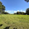 1187 Dee Friel Rd - Photo 43