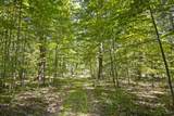 589 Arbaugh Rd - Photo 41