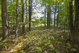 589 Arbaugh Rd - Photo 42