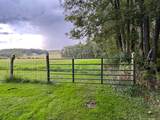 2871 Grassy Meadows Rd - Photo 10