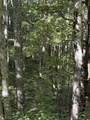  Morris Branch Rd - Photo 10