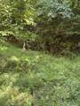 Morris Branch Rd - Photo 4