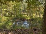 6652 Servia Rd - Photo 10