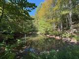 6652 Servia Rd - Photo 52
