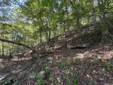 6652 Servia Rd - Photo 58
