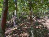 6652 Servia Rd - Photo 60