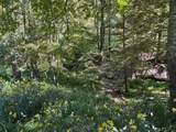 6652 Servia Rd - Photo 61