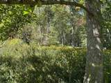 6652 Servia Rd - Photo 63