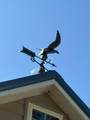 6652 Servia Rd - Photo 68