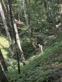  4329 Cooks Run Rd - Photo 37