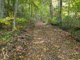  4329 Cooks Run Rd - Photo 4