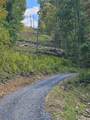  4329 Cooks Run Rd - Photo 68