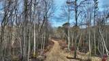  Cub House Road - Photo 27
