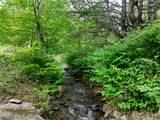 975 Fleshman Hollow Rd - Photo 44