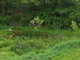 975 Fleshman Hollow Rd - Photo 61