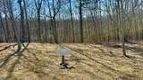 Lot 91 White Rock Trail - Photo 19